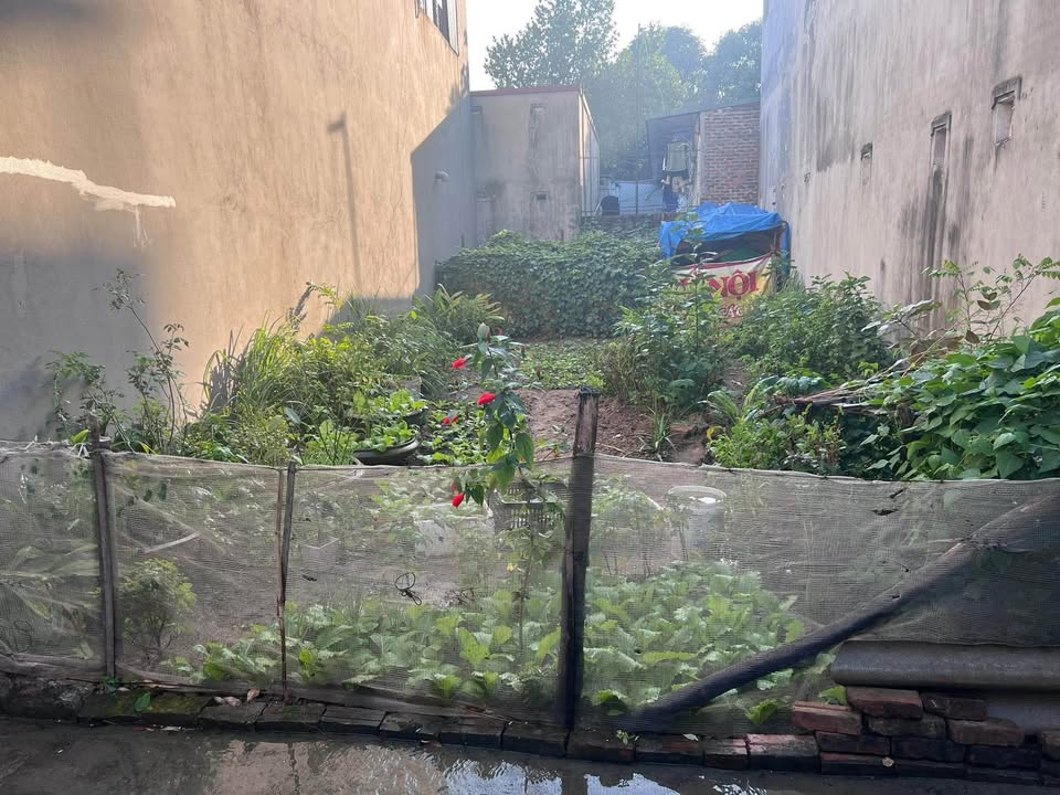 Đất nền Quang Minh 90m² giá 3 tỷ - Sổ đỏ chính chủ, ô tô vào tận nơi!