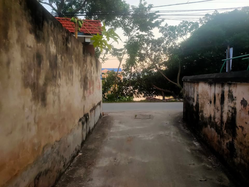 Đất nền 490m² Phường Tự Lạn, Việt Yên - Vị trí đẹp, giá thỏa thuận!