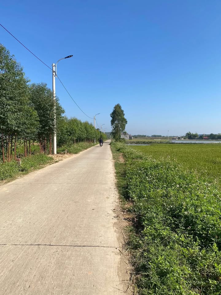 Đất nền 100m² Tân An, Việt Yên - Giá thỏa thuận hấp dẫn