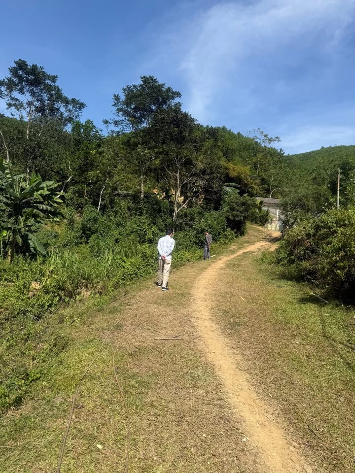 Đất nền Lạc Lương, Yên Thủy 4660m² giá 1.5 tỷ - Đầu tư sinh lời tuyệt vời!