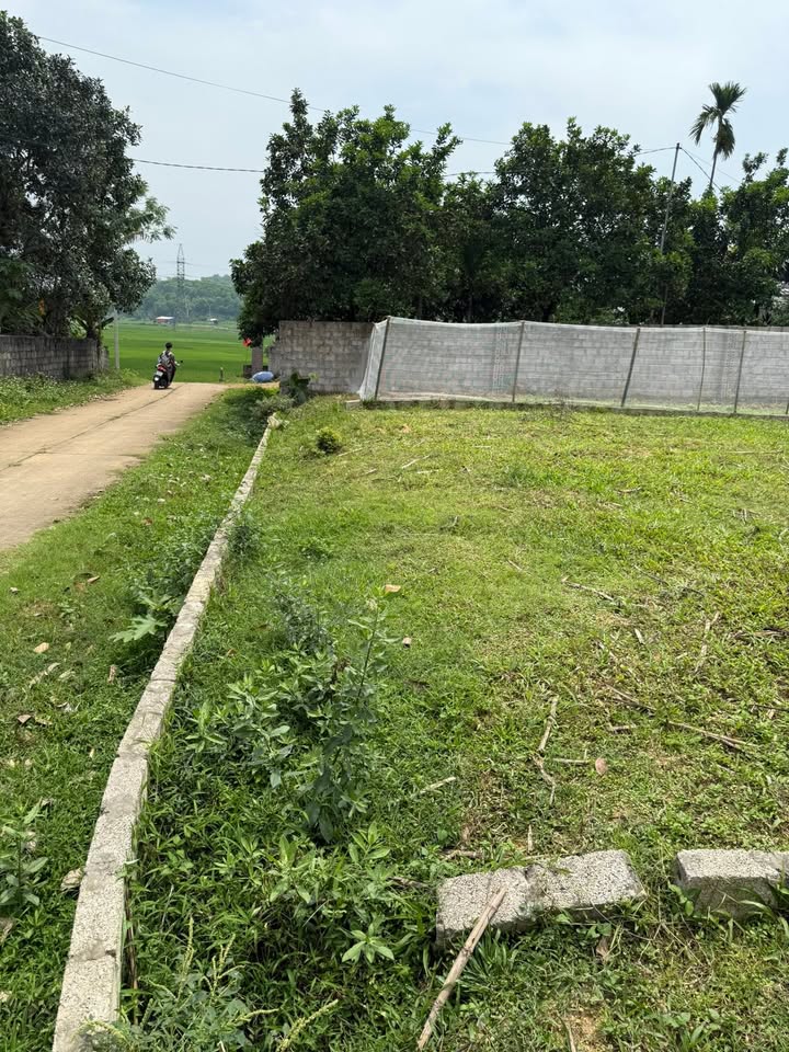 Đất thổ cư Lương Sơn 200m² giá 1.1 tỷ - Sổ đỏ chính chủ, đầu tư sinh lời!