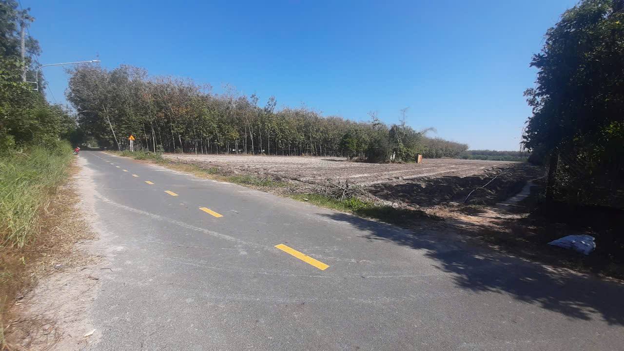 Đất nền Lai Uyên Bàu Bàng 27.000m² - Vị trí đắc địa, giá tốt!