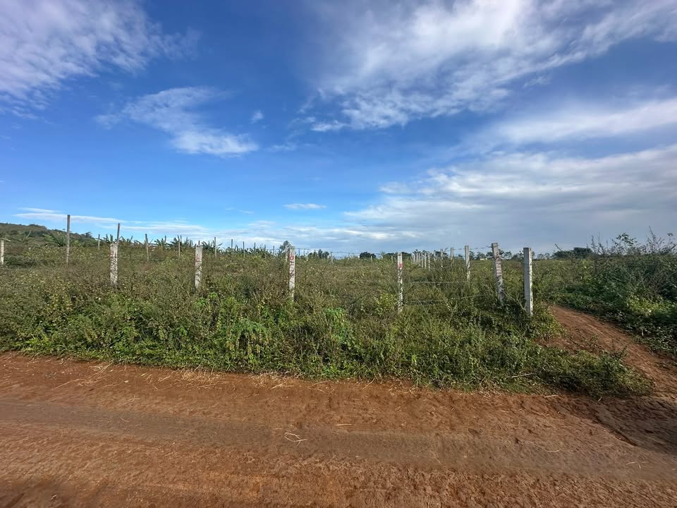 Đất hẻm Lý Chính Thắng, Pleiku 500m² giá chỉ 700 triệu - Cơ hội vàng đầu tư!