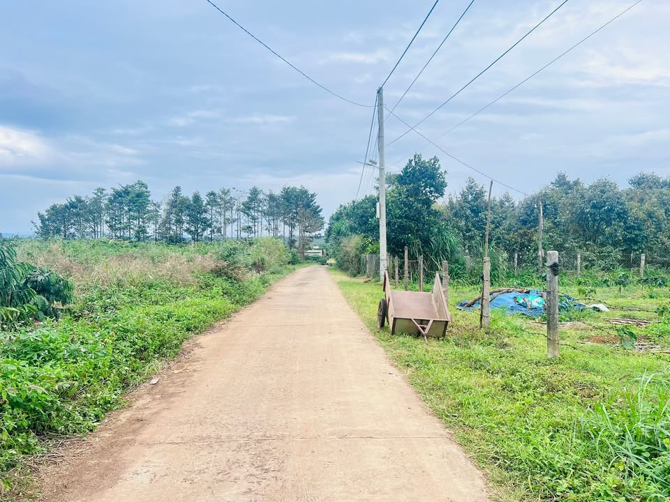 Đất nền Trà Đa, Pleiku 570m² giá 710 triệu - Thích hợp xây nhà vườn nghỉ dưỡng!