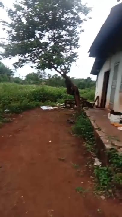 Đất nền Chư Pưh, Gia Lai 2490m² giá 200 triệu - Pháp lý rõ ràng, đầu tư sinh lời!