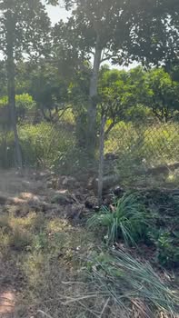 Đất mặt tiền Trại Cháy, Phượng Sơn 182m² giá chỉ 1.2 tỷ - Cơ hội đầu tư tuyệt vời!