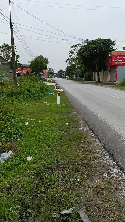 Đất nền tại xã Nga Sơn, Thanh Hóa 100m² giá chỉ 200 triệu - Cơ hội đầu tư hấp dẫn!