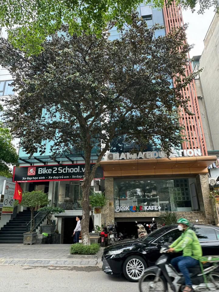 Cho thuê văn phòng Trương Công Giai - Cầu Giấy 100m² giá 25 triệu - Sẵn sàng vào làm việc!