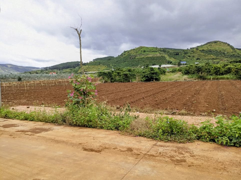 Đất thổ cư Liên Hiệp Đức Trọng 75m² giá chỉ 1.08 tỷ - View núi tuyệt đẹp!