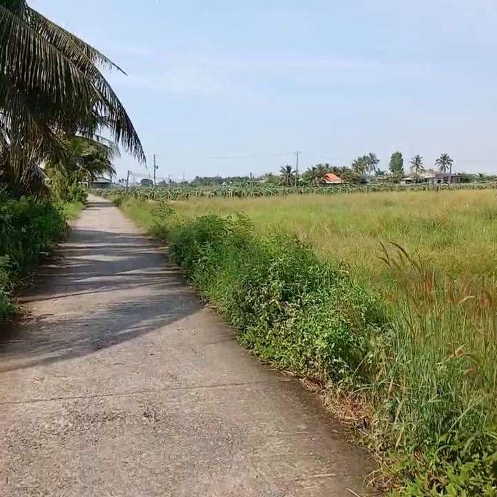 Đất Hiệp Thạnh Châu Thành 6255m² giá 920 triệu - Đường 2 mặt tiền, thích hợp nghỉ dưỡng!