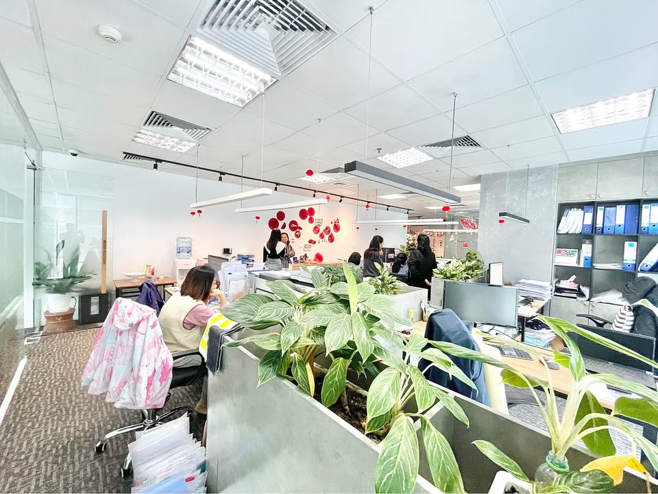 Văn phòng cho thuê tại Nguyễn Trãi, 100m² giá 27 triệu - Sẵn sàng làm việc ngay!