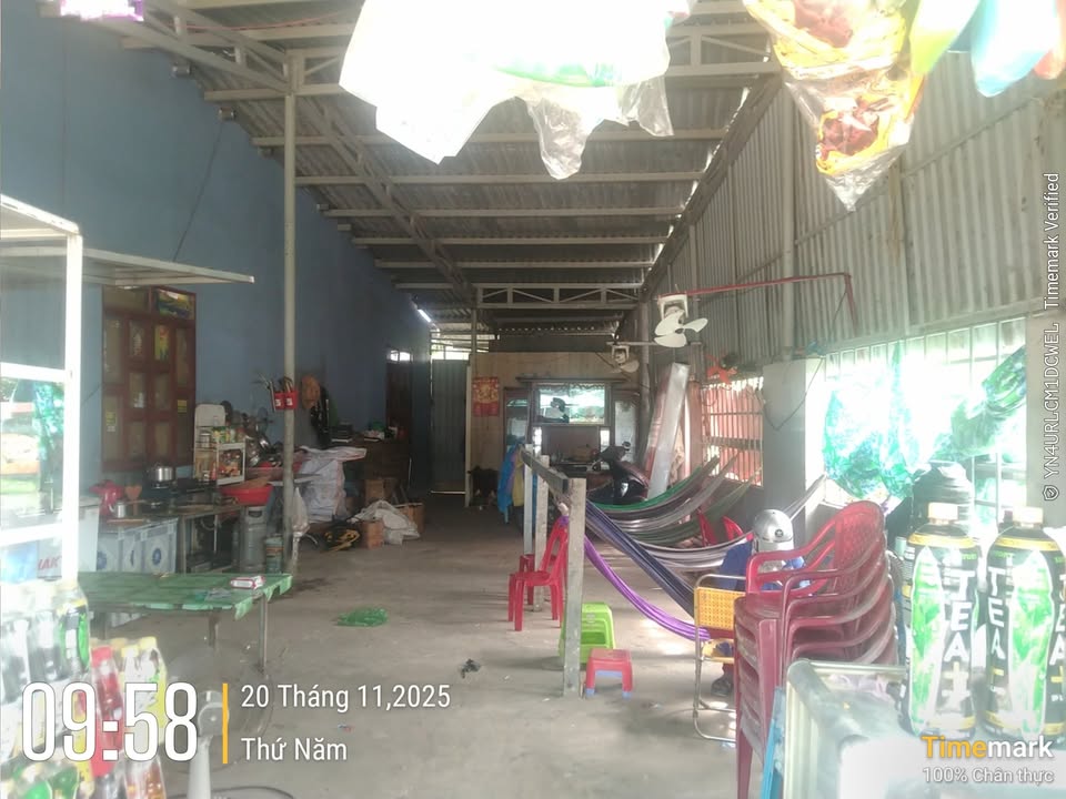 Cho thuê nhà nguyên căn mặt tiền đường cao tốc An Thới, Phú Quốc - Kinh doanh tự do!