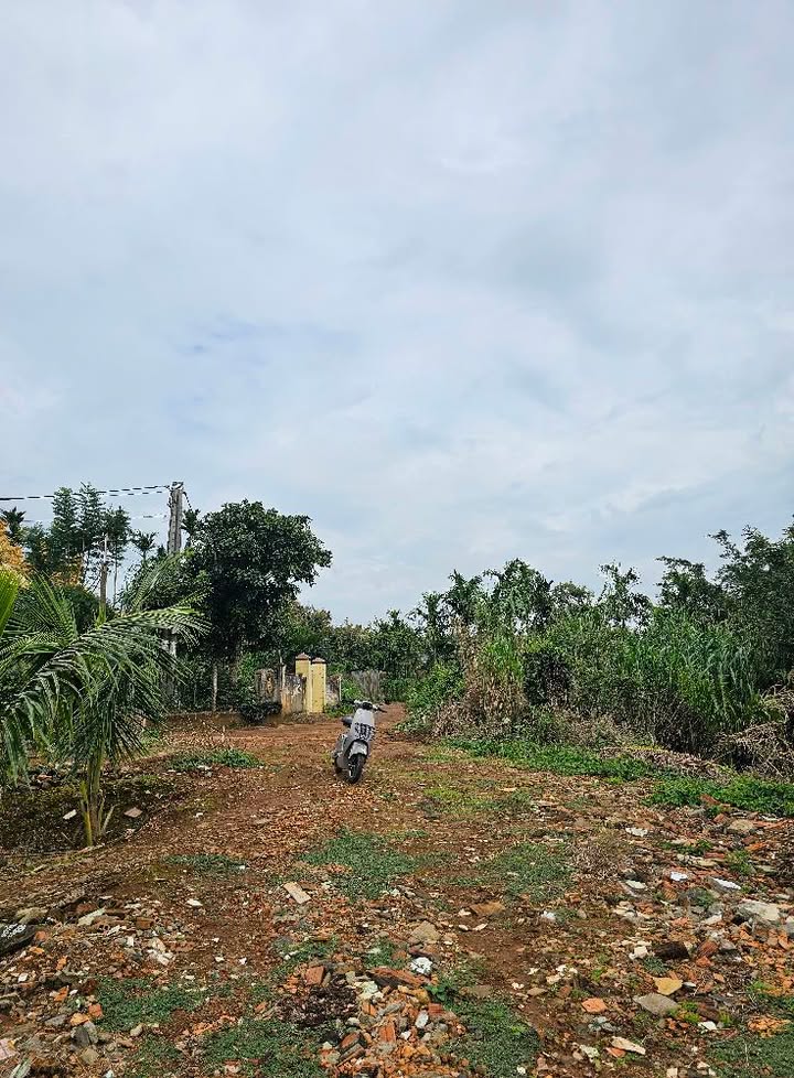 Đất nền Hẻm 81 Nguyễn Trãi - 180m² giá 970 triệu - Cơ hội đầu tư tuyệt vời!