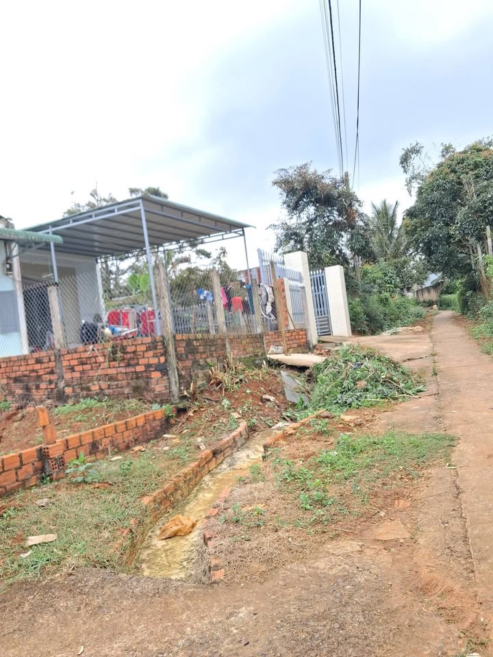 Nhà cấp 4 Hẻm 115 Lê Quý Đôn 280m² giá 1.3 tỷ - Sân rào kiên cố, bớt lộc