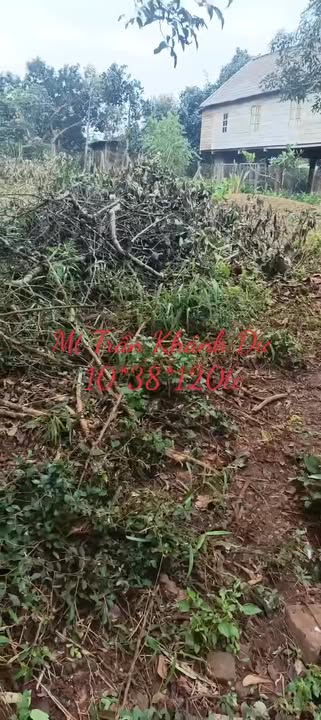 Đất nền mặt tiền Trần Khánh Dư, An Lạc 370m² giá 1.6 tỷ - Sổ đỏ riêng từng nền!