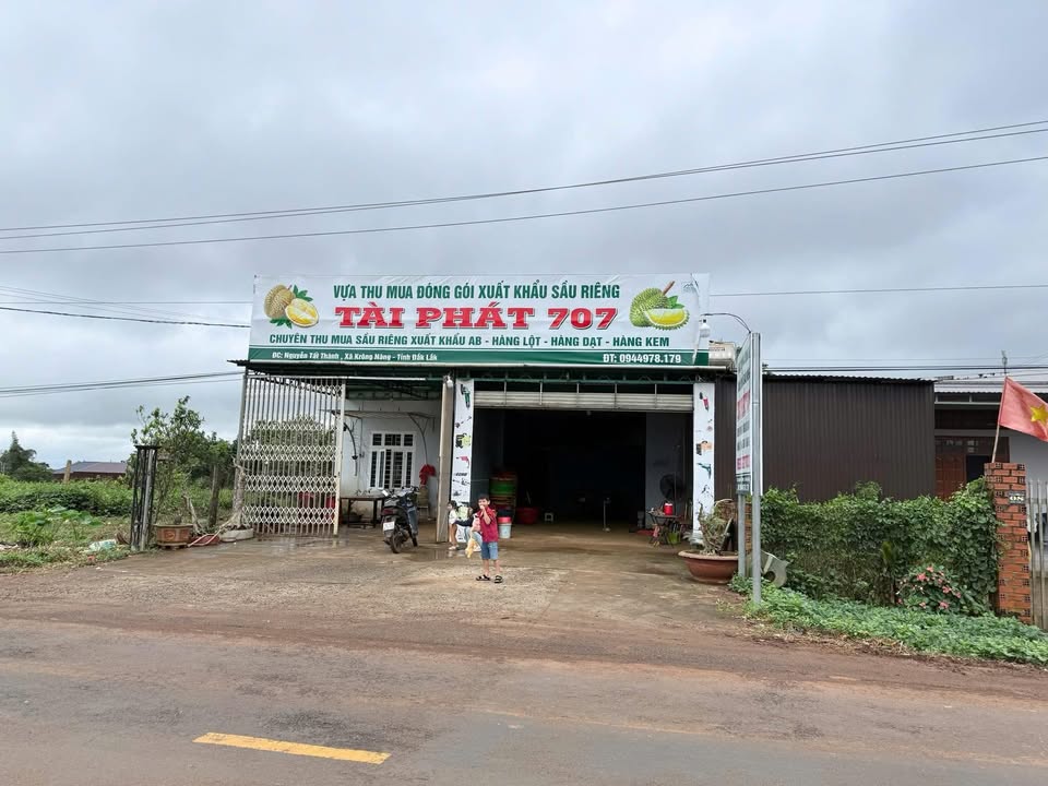 Nhà cho thuê 120m² tại Nguyễn Tất Thành, Krông Năng - Phù hợp kinh doanh và văn phòng!