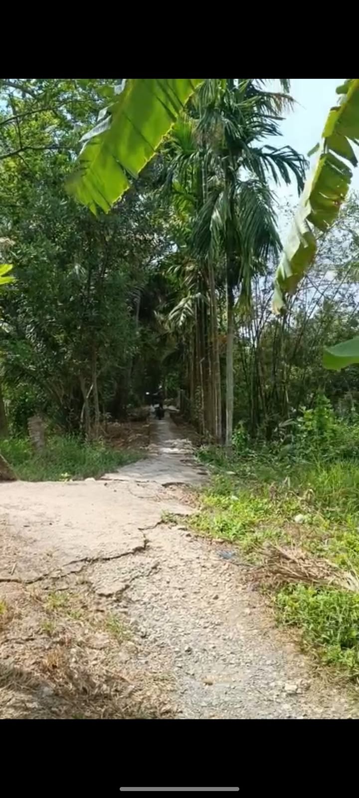 Đất vườn xã Ba Trinh, huyện Kế Sách 2000m² giá 350 triệu - Đầu tư sinh lời!