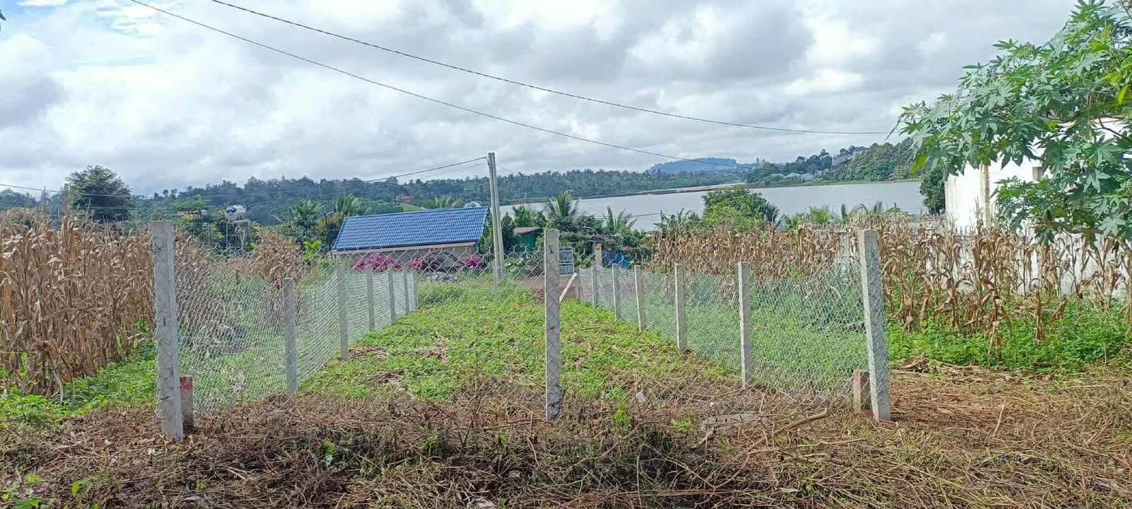 Đất nền tái định cư Trần Hưng Đạo, Đắk Mil 5m² giá 1.2 tỷ - Cơ hội đầu tư hiếm có!