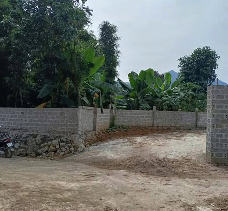 Lô đất 1.568m² tại Cư Yên, Lương Sơn, Hòa Bình - Đầu tư sinh lời tiềm năng!