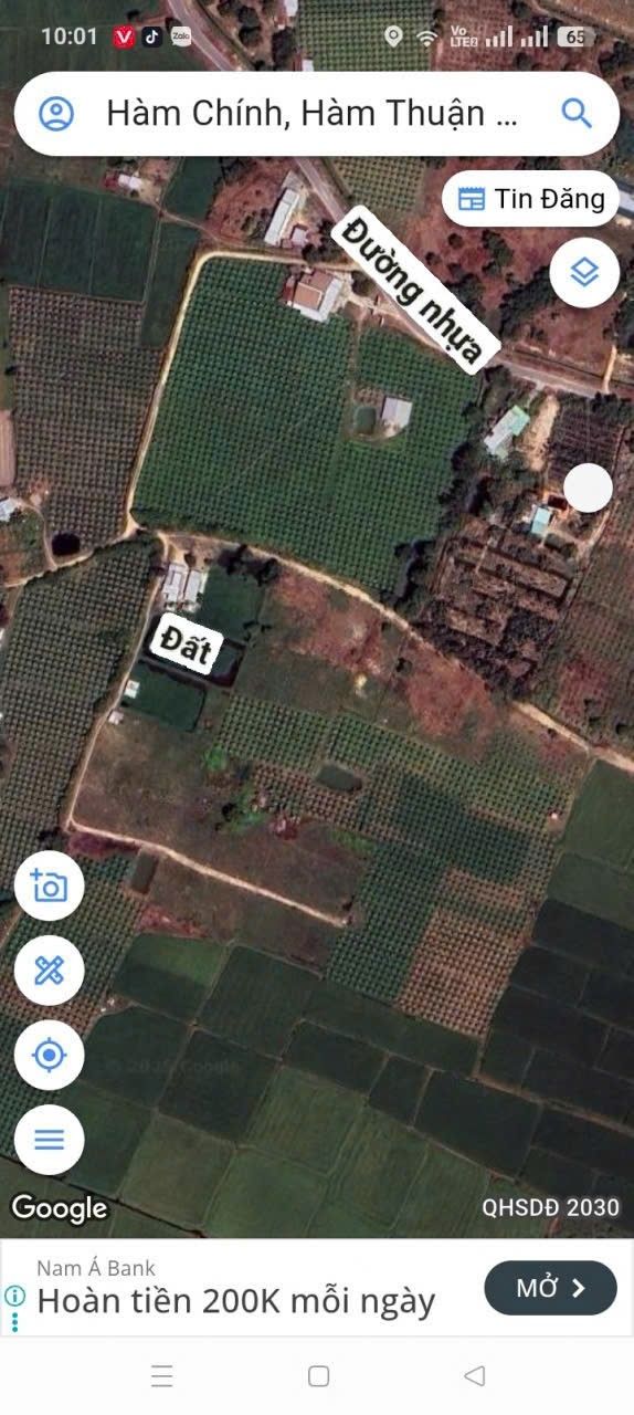 Đất cây trồng 1200m² Thôn 6 Hàm Chính giá 400 triệu - Gần đường nhựa, ô tô vào tận nơi!