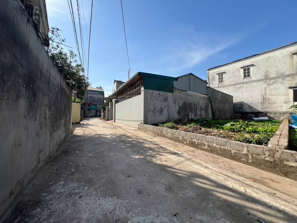 Đất nền Quất Động - Thường Tín 80m² giá 4.435 tỷ - Đường ô tô đỗ cửa