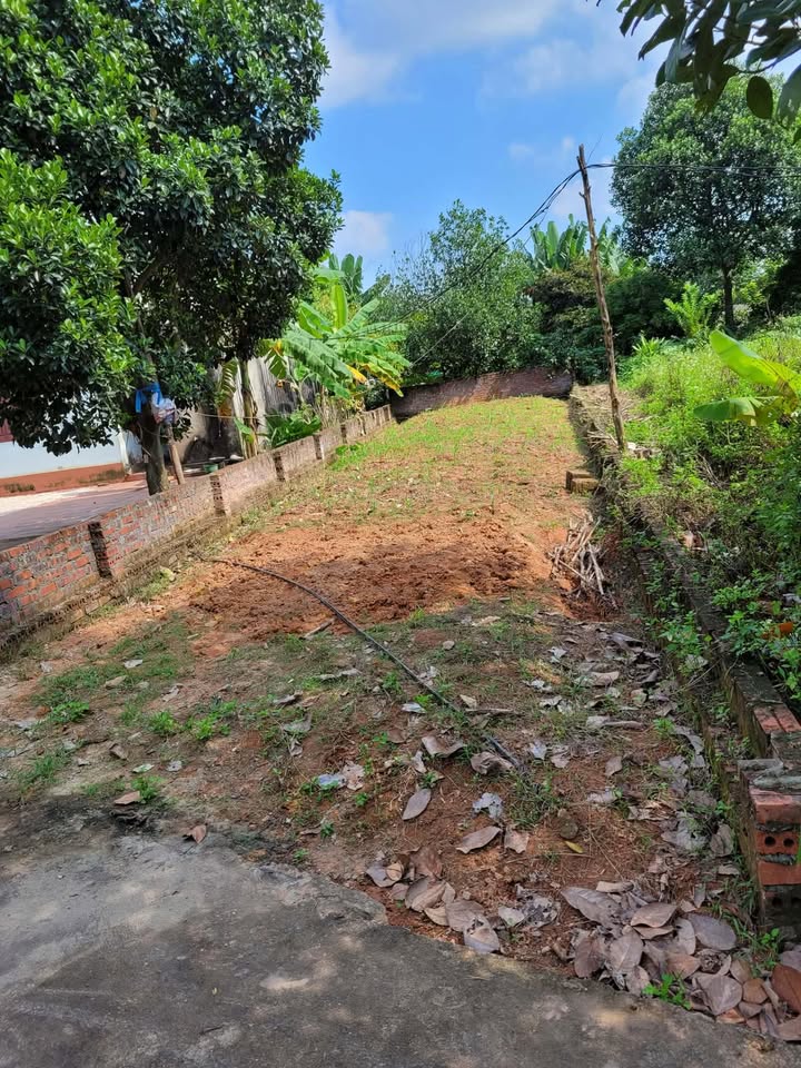 Đất nền Kim Đức Việt Trì 150m² - Giá đầu tư hấp dẫn!