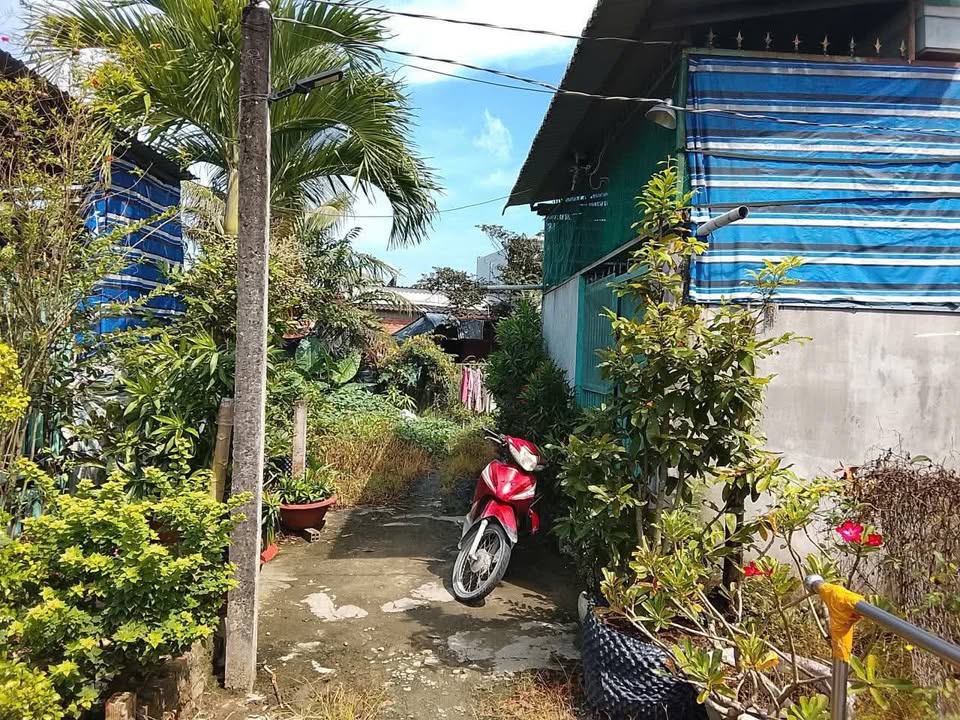 Đất thổ cư 100m² tại Ấp Lộc Trung, Cần Giuộc chỉ 650 triệu - Đầu tư sinh lời ngay!