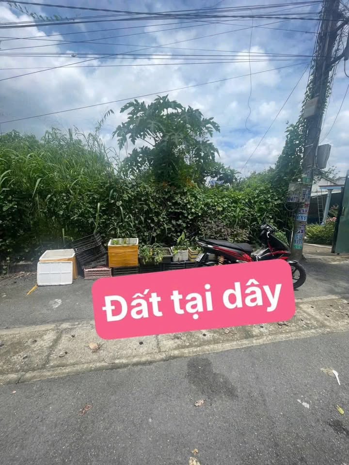 Đất nền khu phố 8, phường Phú Hòa, 130m² giá 2.7 tỷ - Đầu tư sinh lời ngay!