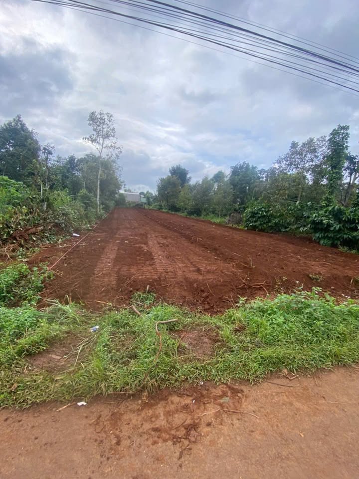 Đất nền liền kề phường Đạt Hiếu 125m² giá 900 triệu - Sổ đỏ chính chủ!