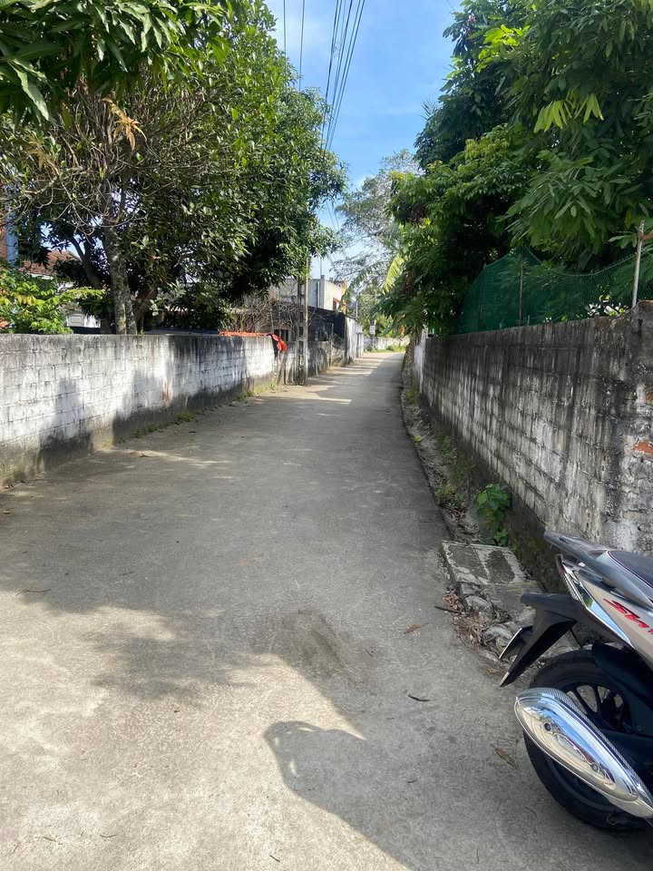 Đất nền Bút Sơn Hoằng Hóa 135m² giá chỉ 650 triệu - Đầu tư tuyệt vời!