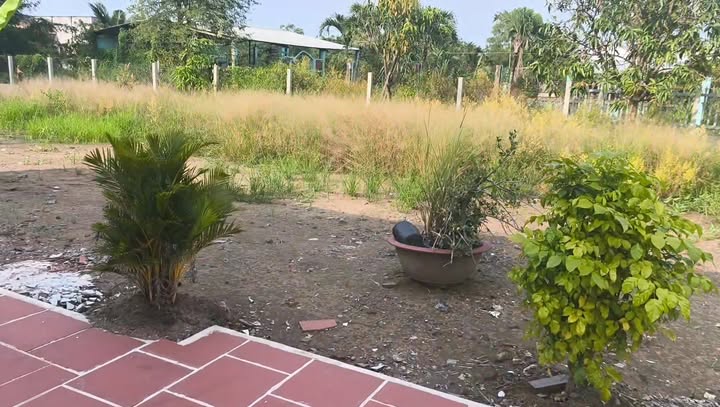 Nhà vườn 629m² Phước Hậu, Cần Giuộc giá 2.5 tỷ - Ô tô vào tận nơi!