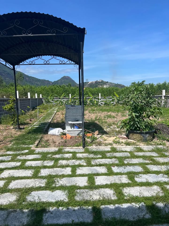 Đất vườn Suối Tiên, Diên Khánh 484m² giá 1.9 tỷ - Đầu tư sinh lời lý tưởng!