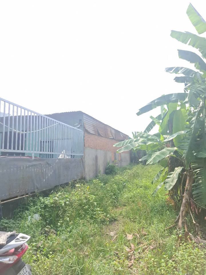 Lô đất đẹp Bình Mỹ, Củ Chi 175m² giá 2,75 tỷ - Cơ hội đầu tư sinh lời!