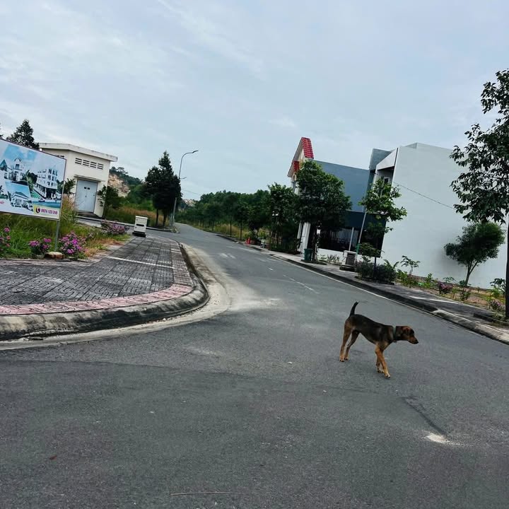 Đất nền Tân Phước Thủ Đức 100m² giá từ 1.8 tỷ - Cơ hội đầu tư sinh lời!