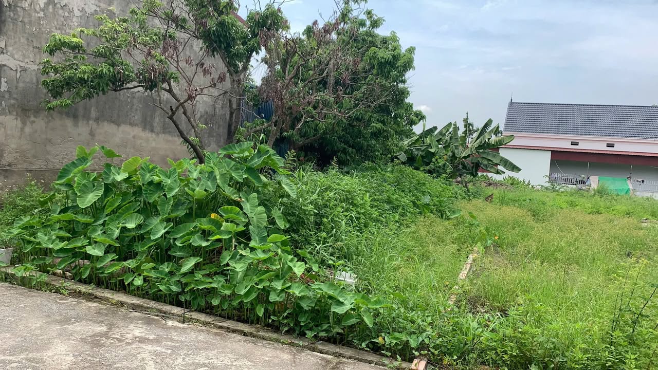 Đất nền Sâm Linh, Minh Tân, Kiến Thụy 117m² giá 1.7 tỷ - Tiềm năng tăng giá vượt trội!