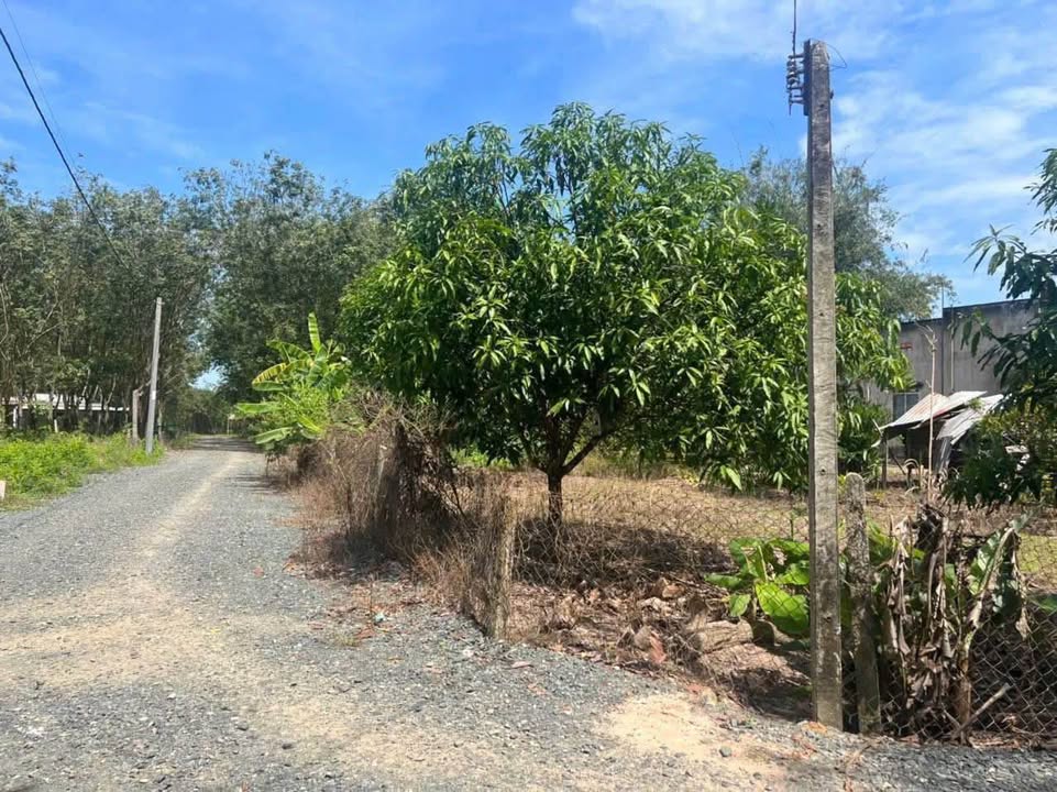 Đất thổ cư Thạnh Bình, Tân Biên 150m² giá chỉ 195 triệu - Cơ hội đầu tư hấp dẫn!