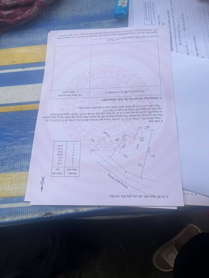 Đất nền Phú Hội, Đức Trọng 19m² giá 160 triệu - Cơ hội đầu tư giá hời!