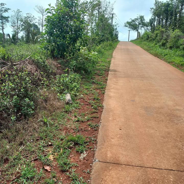 Đất nền 1000m² tại Nam Bình, Đăk Song, giá 520 triệu - Pháp lý đầy đủ!