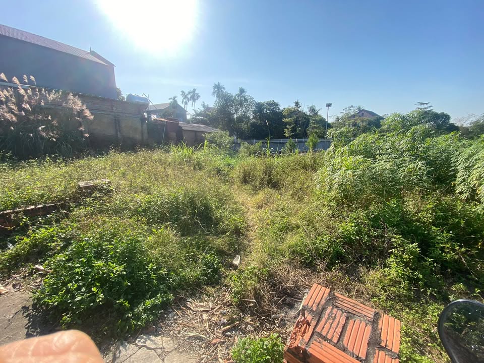 Đất nền Kim Anh, Sóc Sơn 200m² - Gần UBND, trường học, tiện ích đầy đủ