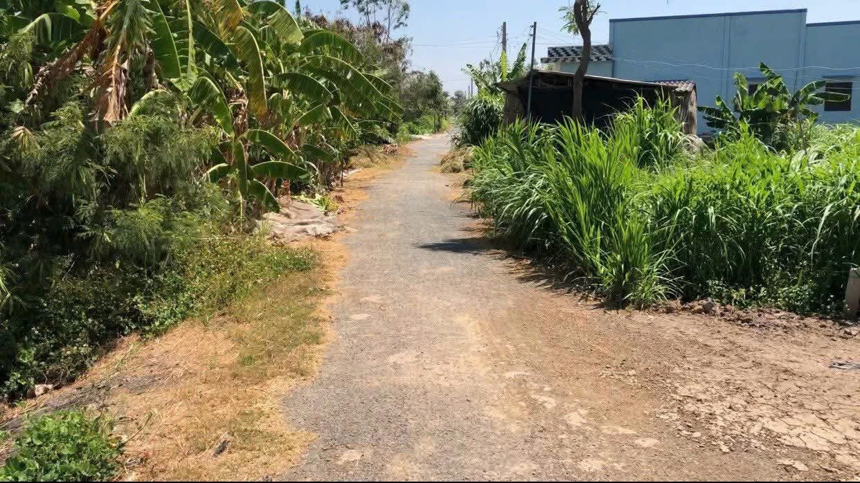 Đất mặt tiền kênh Long Hòa Gò Công 1536m² giá 1.4 tỷ - Cơ hội đầu tư hiếm có!