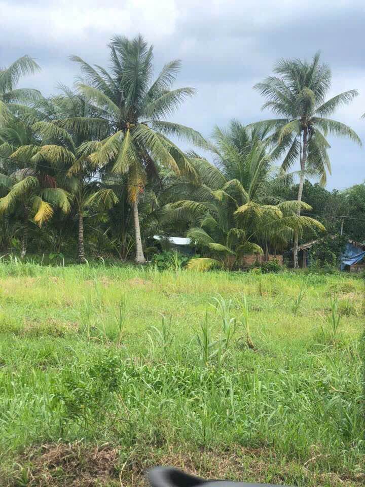 Đất nền chính chủ tại xã Tân Long Hội, Vĩnh Long 122m² - Giá tốt, thương lượng ngay!