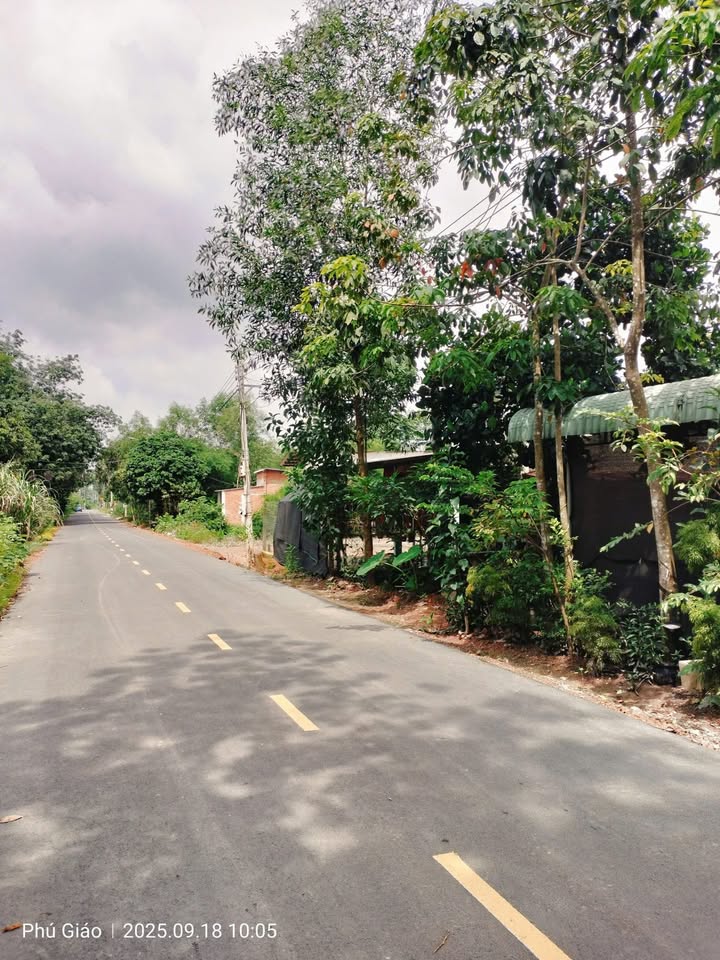 Đất nền Tân Hiệp, Phú Giáo 100m² giá 600 triệu - Cơ hội đầu tư tuyệt vời!