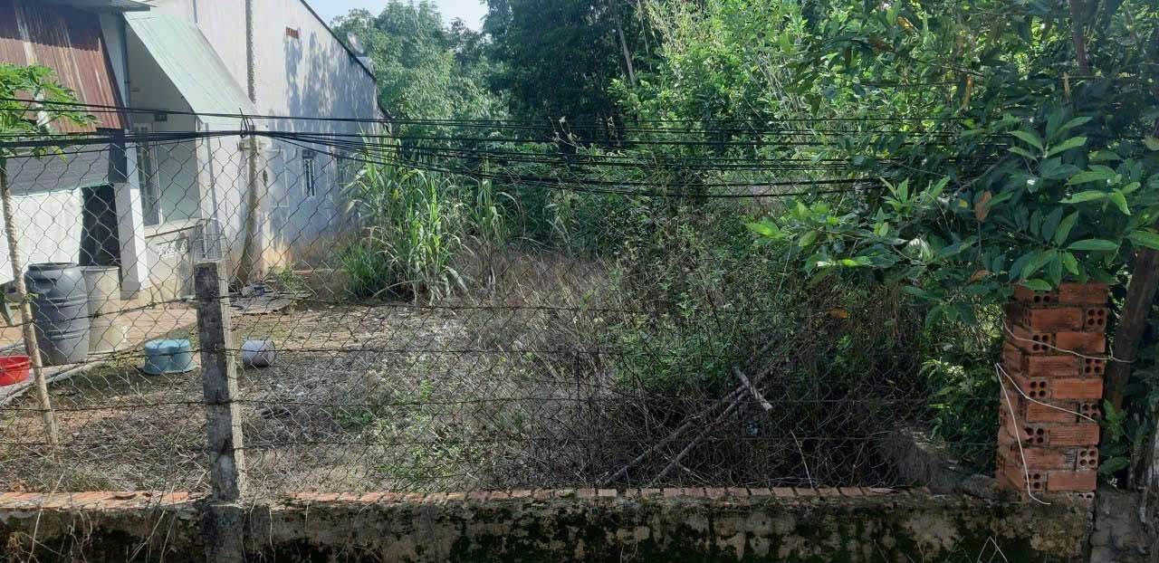 Đất nền 300m² tại Thuận Lợi, Đồng Phú - Hướng Nam, giá chỉ từ 6xx triệu!