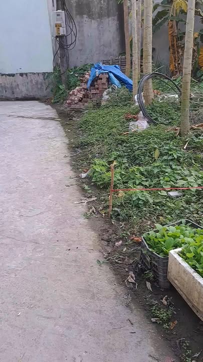 Đất nền lô góc Đồng Văn 60m² giá 1.1 tỷ - Thiết kế thông minh, ô tô đỗ cửa!