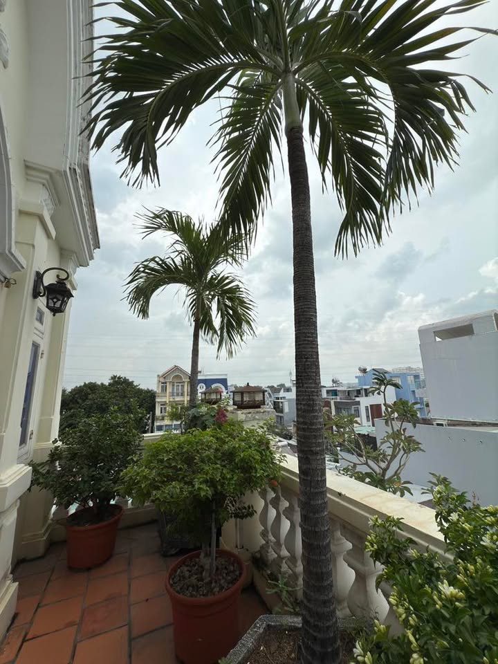 Biệt thự 3 tầng Hiệp Phú Q9, 180m² giá 22.5 tỷ - Sổ hồng chính chủ, hoàn công đầy đủ!