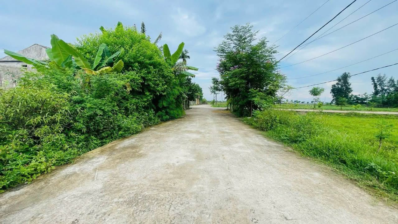 Đất thổ cư Liên Hà, Thạch Hạ 298m² giá 2 tỷ - Diện tích rộng, vị trí đẹp!