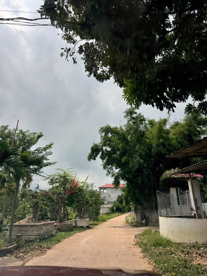 Đất nền chính chủ xã Dương Thành, Phú Bình 300m² giá chỉ 300 triệu - Cơ hội đầu tư hấp dẫn!