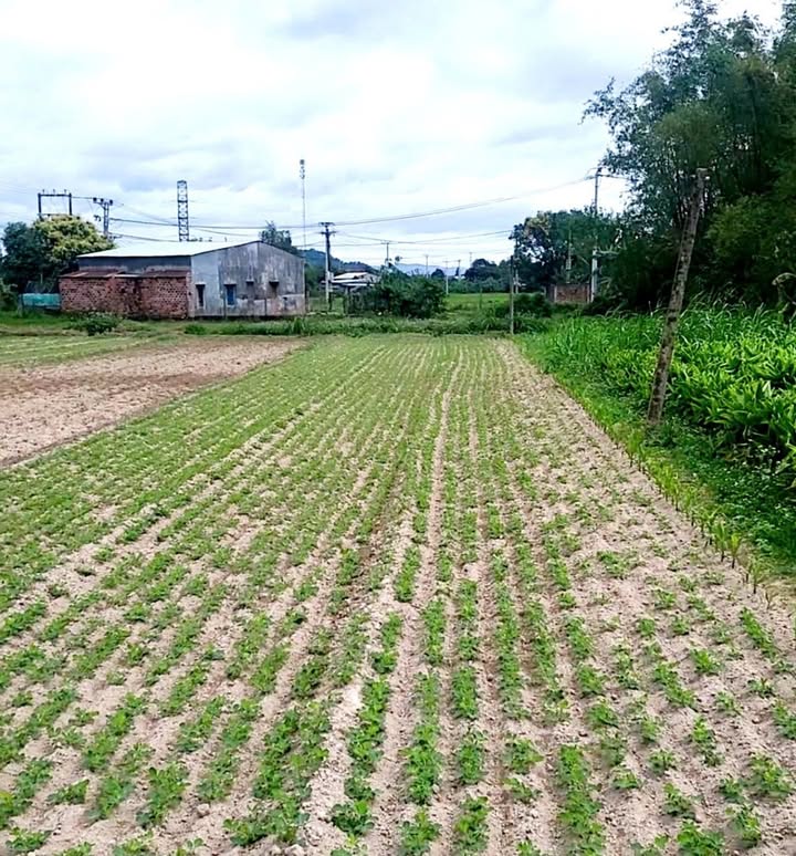 Đất vườn 303m² An Sơn 2, Phước An - Cơ hội đầu tư tuyệt vời!