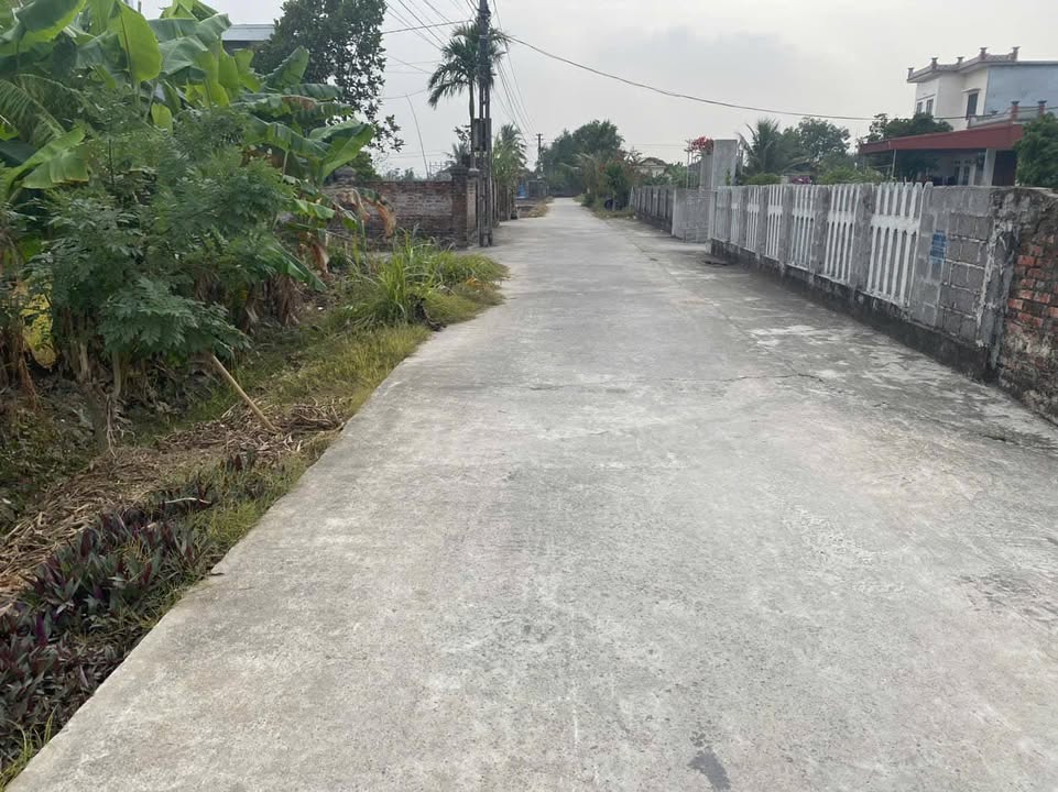 Đất nền Thái Phúc, Thái Thụy 150m² - Sổ đỏ chính chủ, ô tô vào tận nơi!