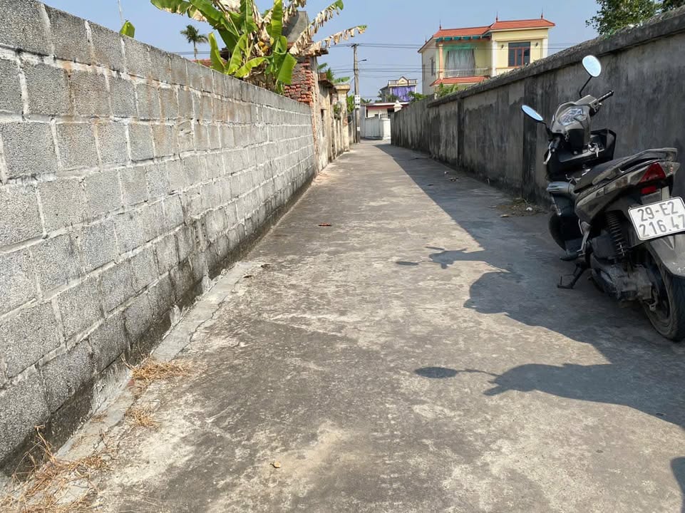 Đất thổ cư 98m² xã Hồng Dũng, Thái Thụy - Giá chỉ 400 triệu, đầy đủ tiện ích!